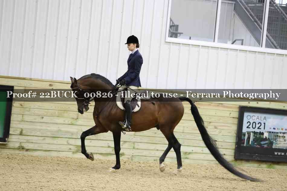 Proof 22BUCK_00826