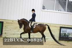 22BUCK_00826 proof