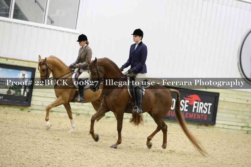 Proof 22BUCK_00827