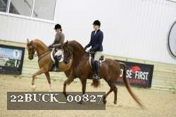 22BUCK_00827 proof