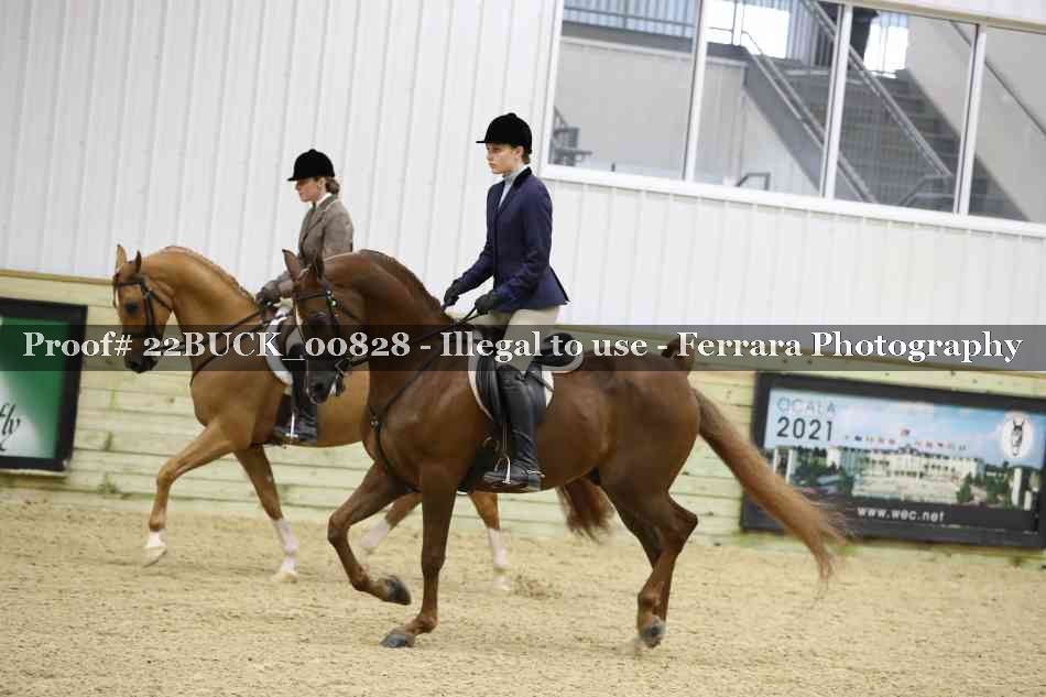 Proof 22BUCK_00828