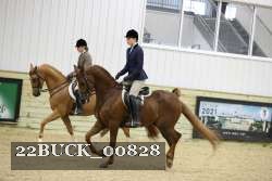 22BUCK_00828 proof