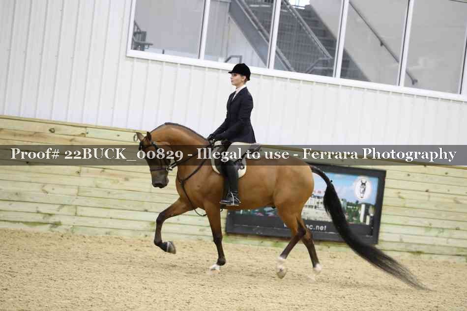 Proof 22BUCK_00829