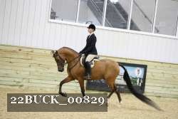 22BUCK_00829 proof
