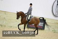 22BUCK_00830 proof