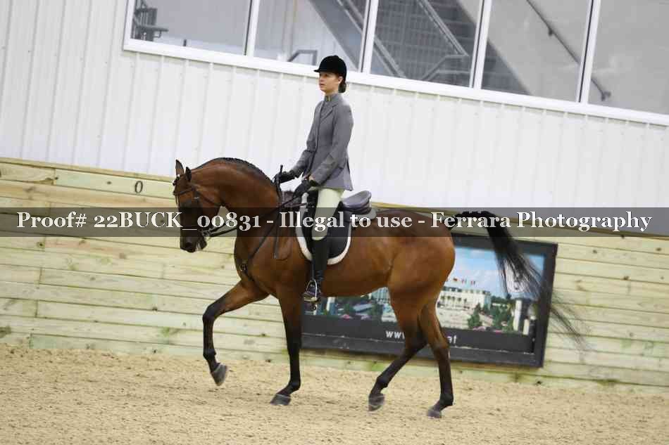 Proof 22BUCK_00831