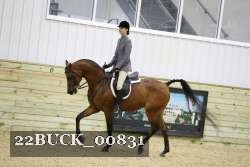22BUCK_00831 proof
