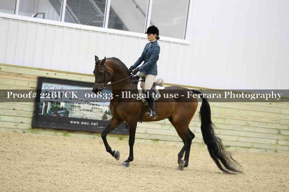 Proof 22BUCK_00833