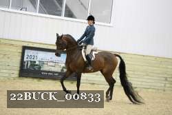 22BUCK_00833 proof