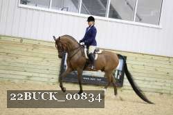 22BUCK_00834 proof