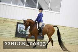 22BUCK_00835 proof