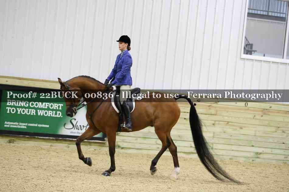Proof 22BUCK_00836