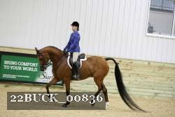 22BUCK_00836 proof