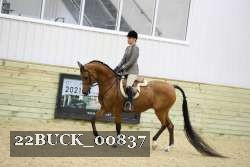 22BUCK_00837 proof
