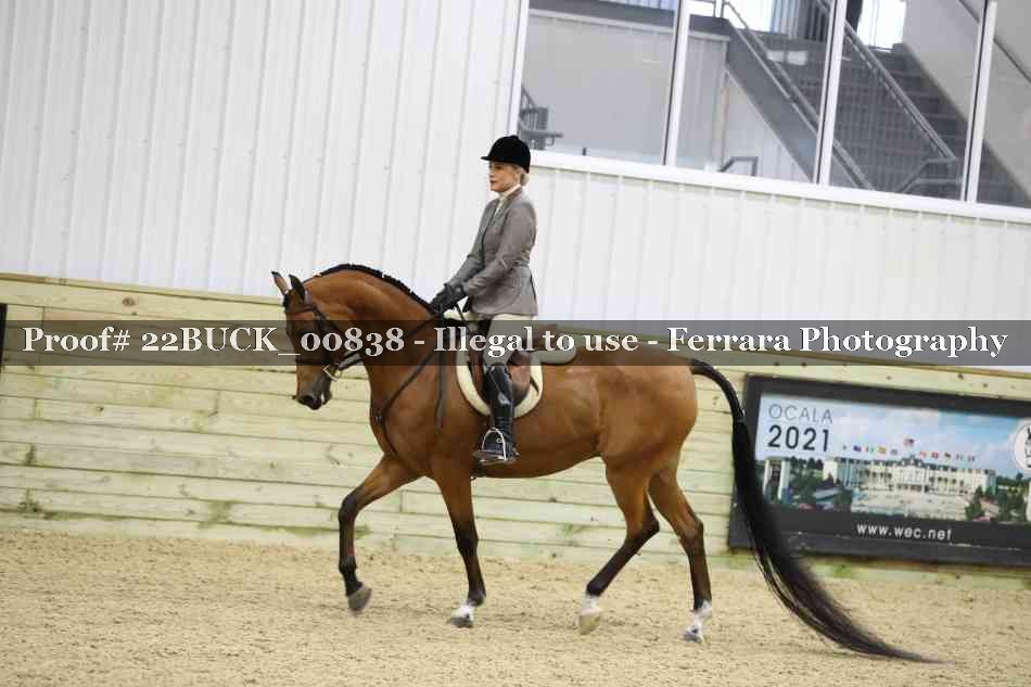 Proof 22BUCK_00838