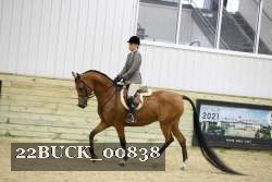 22BUCK_00838 proof
