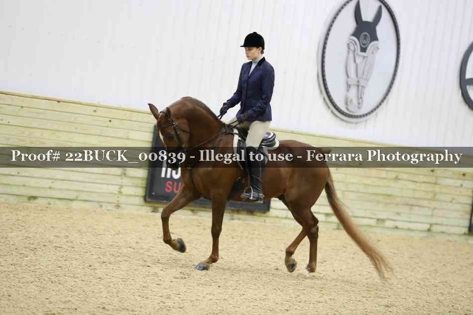 Proof 22BUCK_00839
