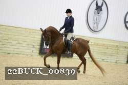 22BUCK_00839 proof