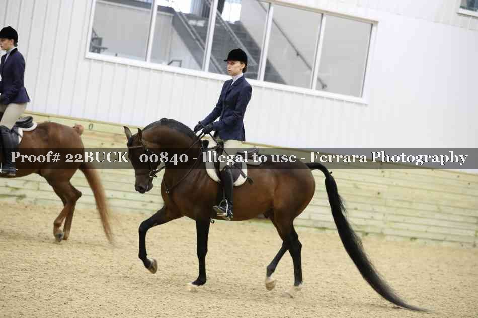 Proof 22BUCK_00840