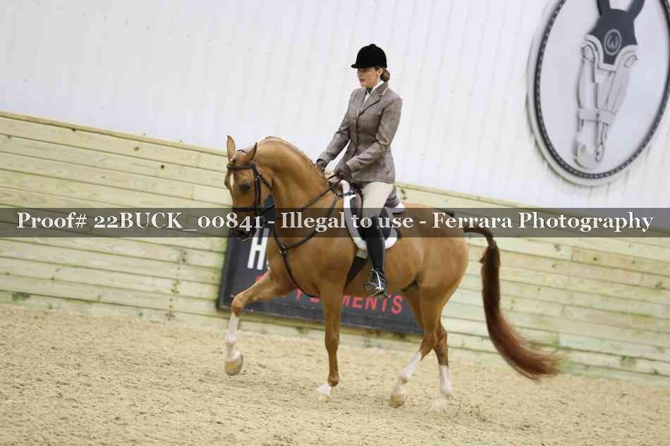 Proof 22BUCK_00841