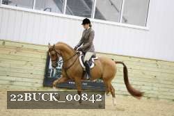 22BUCK_00842 proof