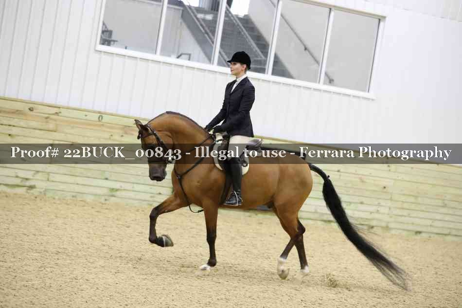 Proof 22BUCK_00843