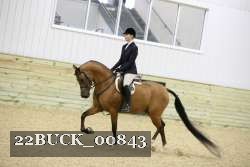 22BUCK_00843 proof