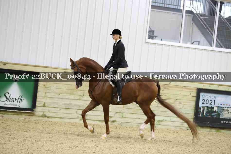 Proof 22BUCK_00844