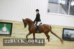 22BUCK_00844 proof