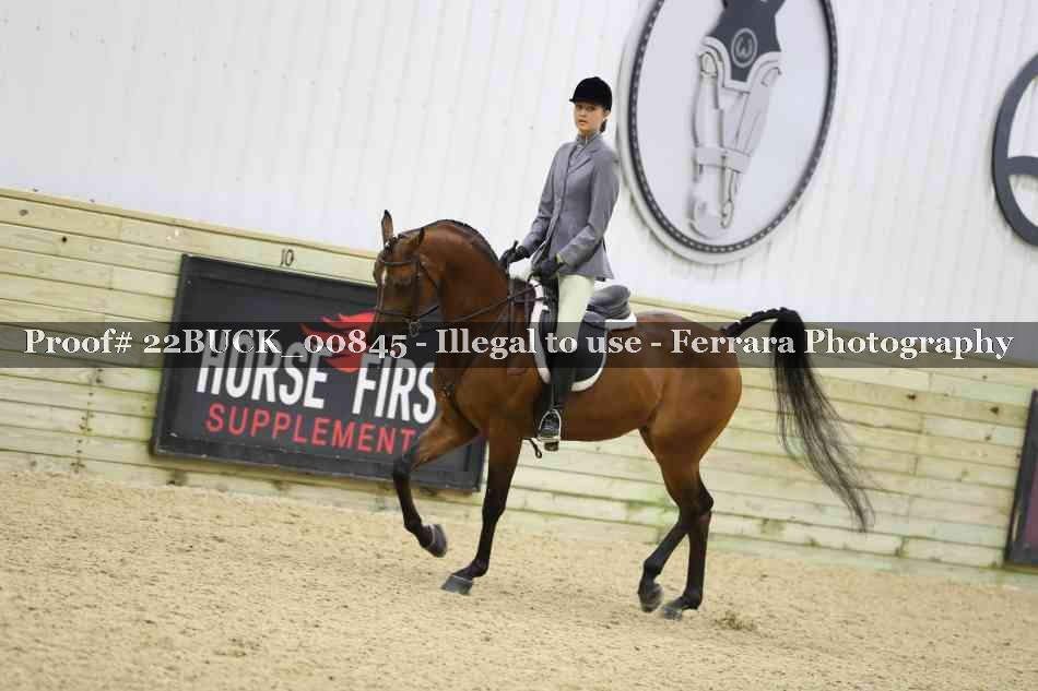 Proof 22BUCK_00845