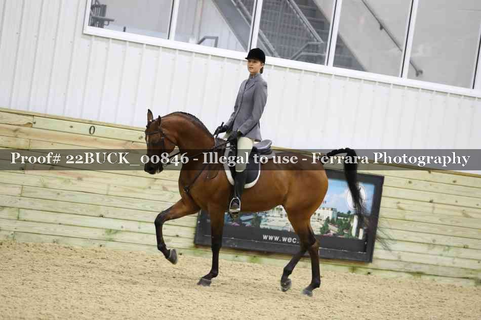 Proof 22BUCK_00846