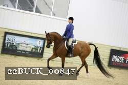 22BUCK_00847 proof
