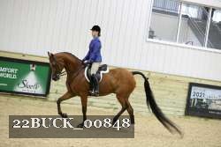 22BUCK_00848 proof