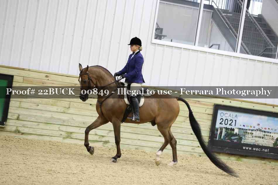Proof 22BUCK_00849