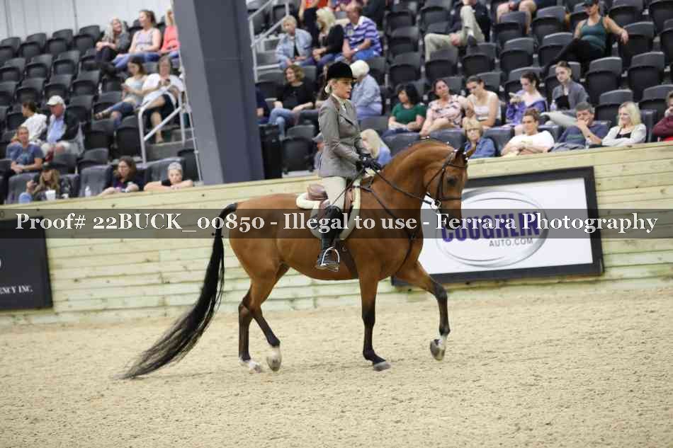 Proof 22BUCK_00850