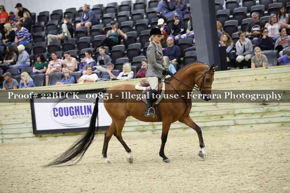 Proof 22BUCK_00851