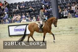 22BUCK_00851 proof