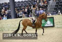 22BUCK_00852 proof
