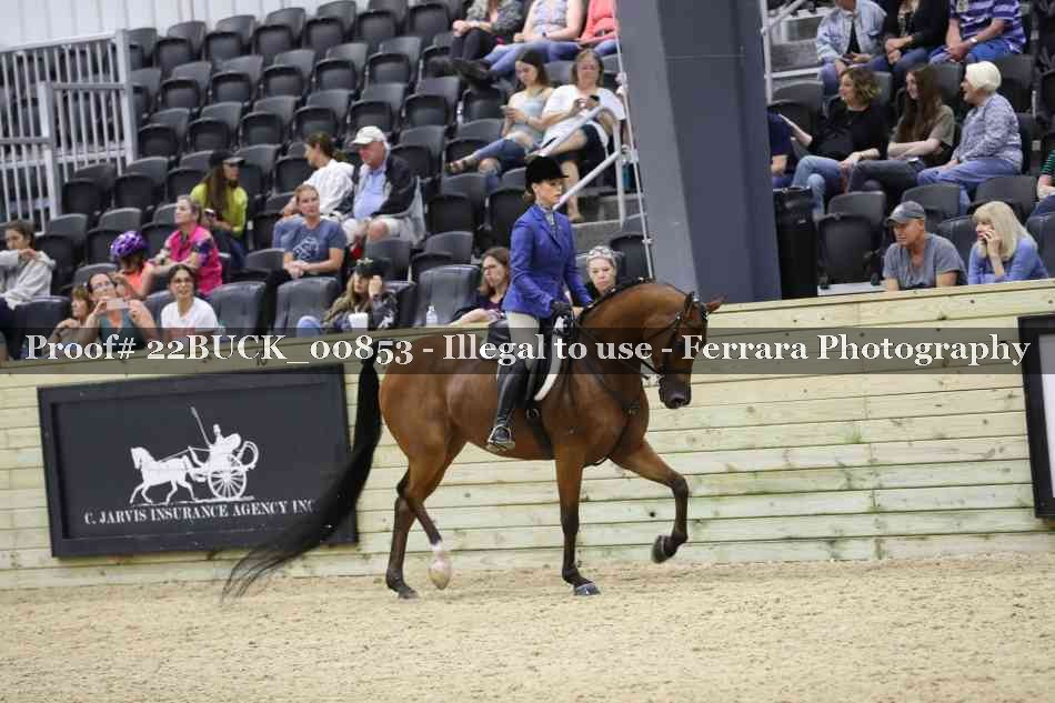 Proof 22BUCK_00853
