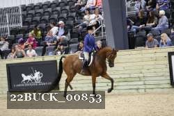 22BUCK_00853 proof