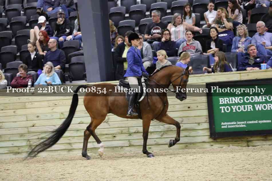 Proof 22BUCK_00854