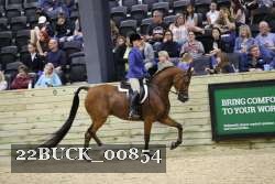 22BUCK_00854 proof