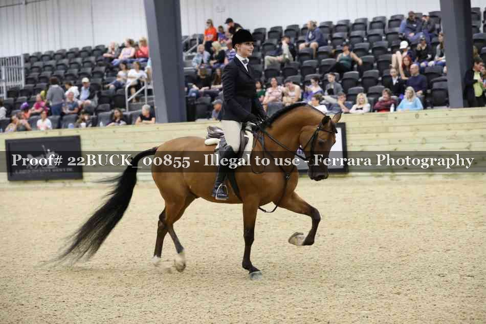 Proof 22BUCK_00855