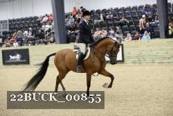 22BUCK_00855 proof