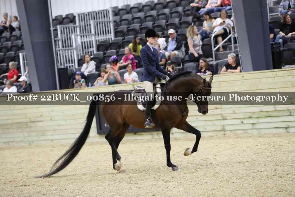 Proof 22BUCK_00856