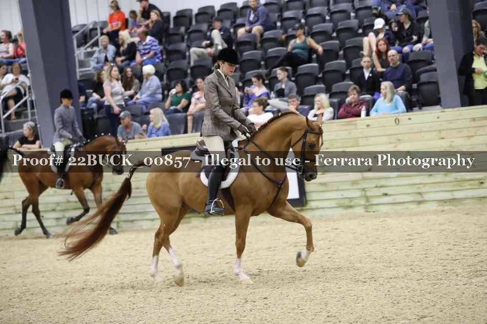 Proof 22BUCK_00857