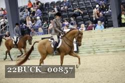 22BUCK_00857 proof