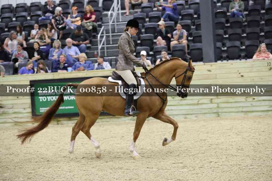 Proof 22BUCK_00858