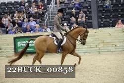 22BUCK_00858 proof