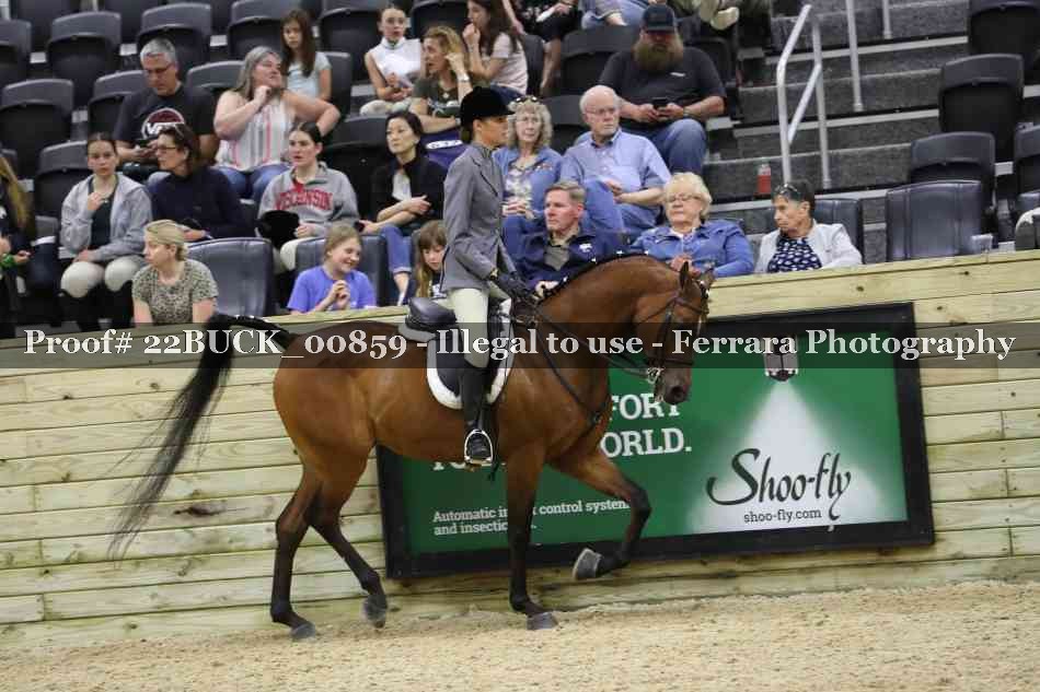 Proof 22BUCK_00859